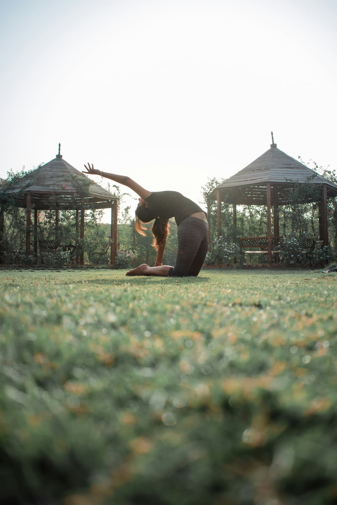 Morning Vinyasa Flow